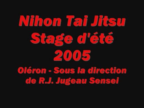 Nihon Tai Jitsu - Stage d'été 2005 - Oléron