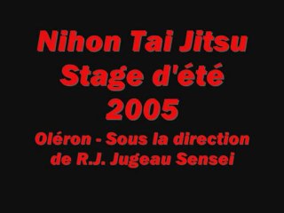 Nihon Tai Jitsu - Stage d'été 2005 - Oléron