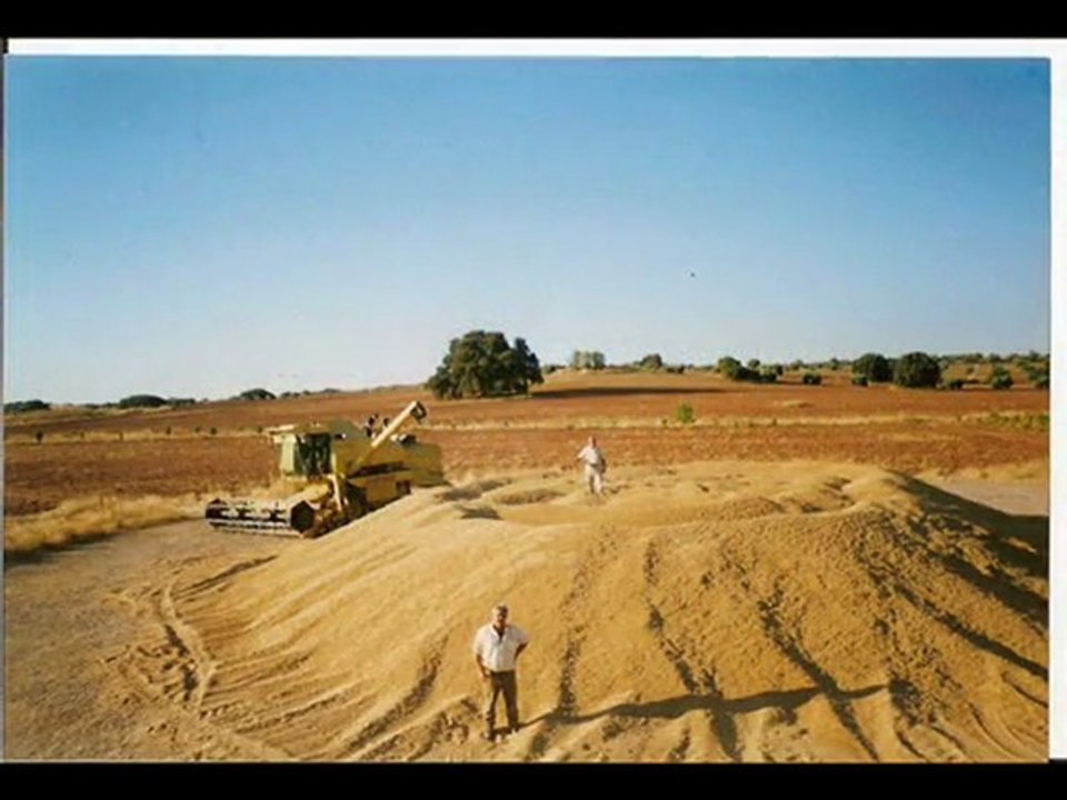 Vendo cosechadora New Holland 8070 Tel: 629024522