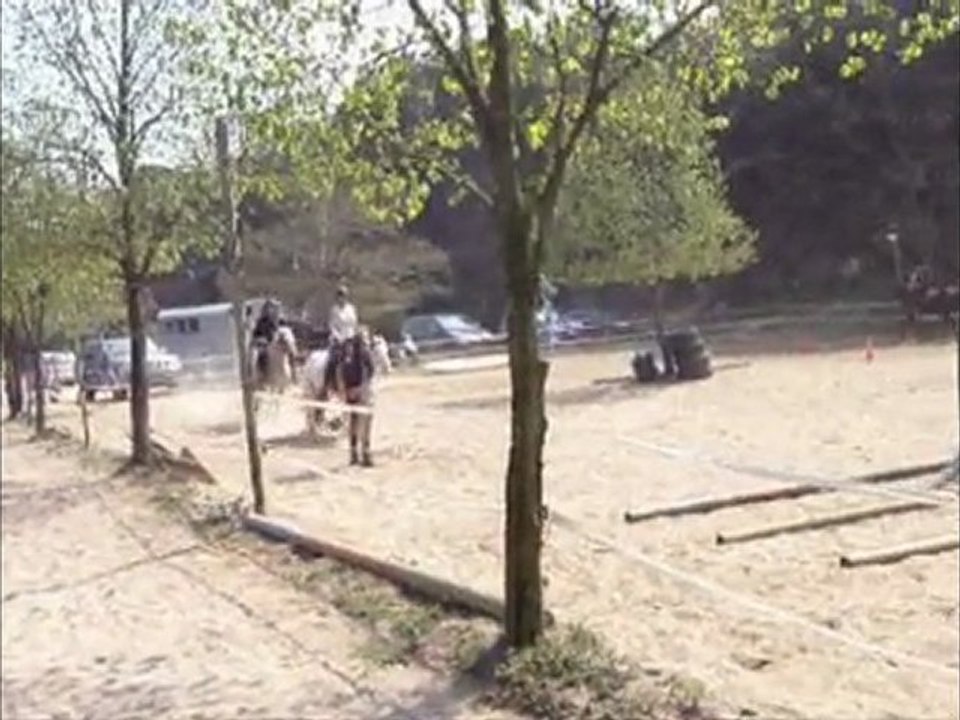 Cours du vendredi 16 avril 2010, en licol éthologique