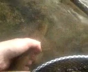 remise à l'eau d'une petite arc