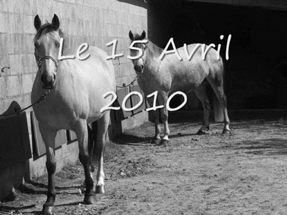 Hunter Galop 4-5 ♥♥♥