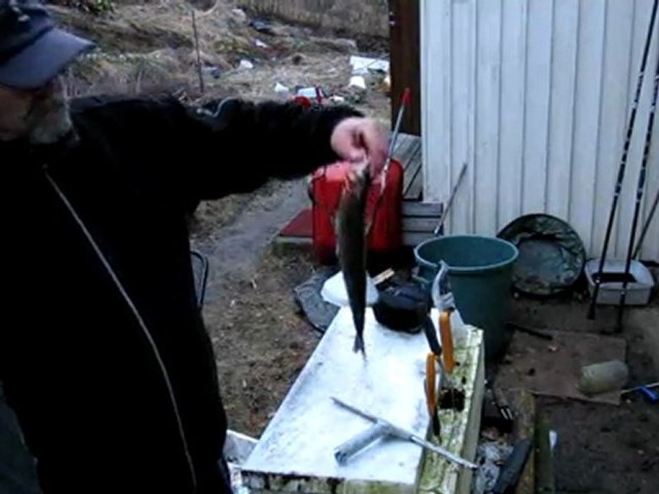 WHITEFISH AVIM 17.04.2010 003