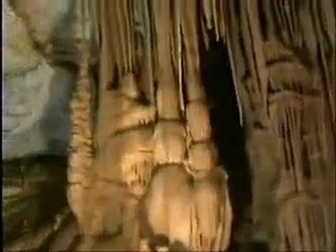 MAHMUT POLAT- CAN GÜMÜŞHANE