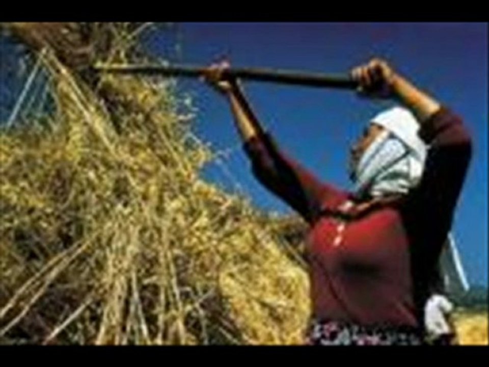 MAHMUT.POLATı- YASLANMIŞ KÖYÜME SIRALI DAGLAR [HQ]