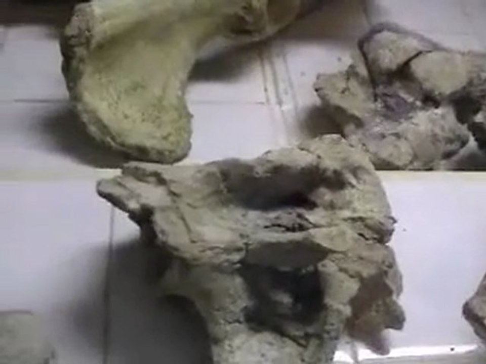 Esperaza3