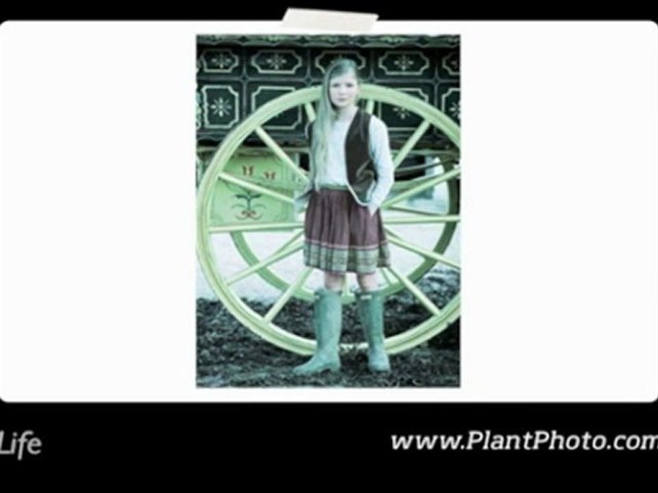 Simon Plant Portfolio