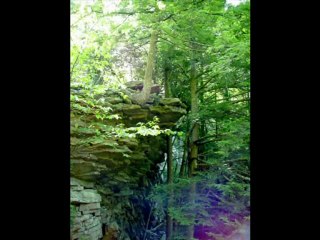 Appalachian Memories - Episcopal Appalachian Ministries 2006