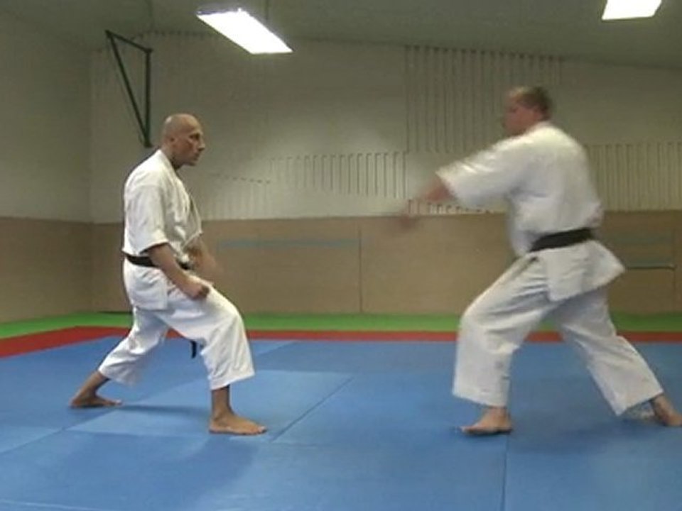 karate do
