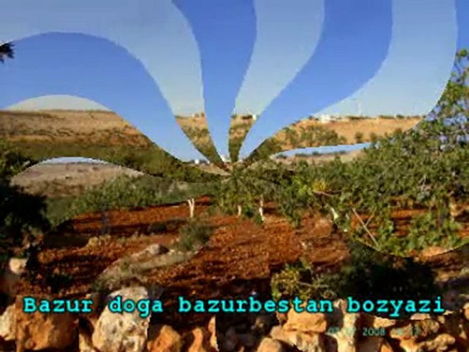 bazur doga bozyazi bazurbestan