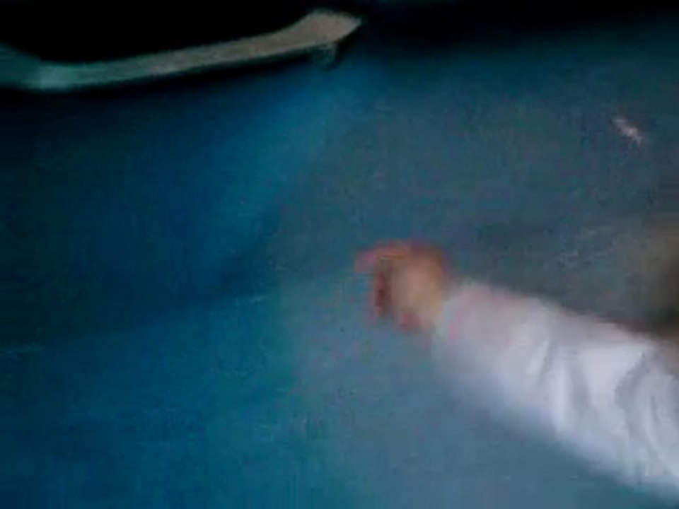 mon iguane