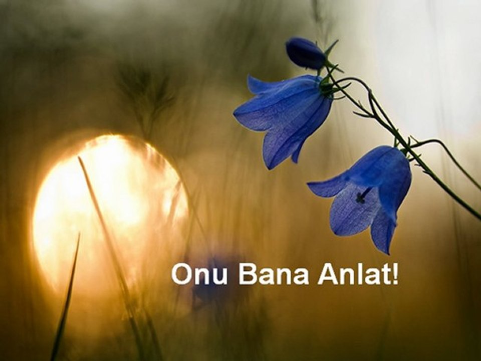 Onu Bana Anlat!