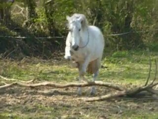 iloon vacances début avril