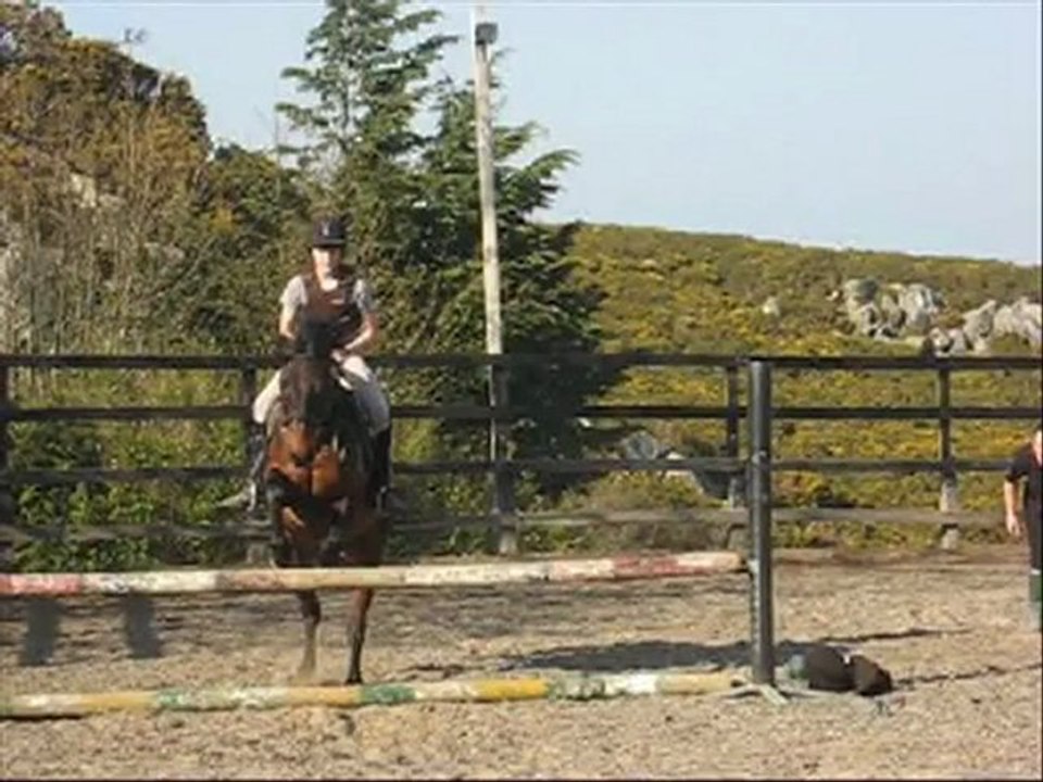 17xo4 -> Cours avec Molly