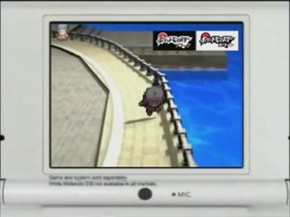 FAKE de Pokémon version Noir et Blanc