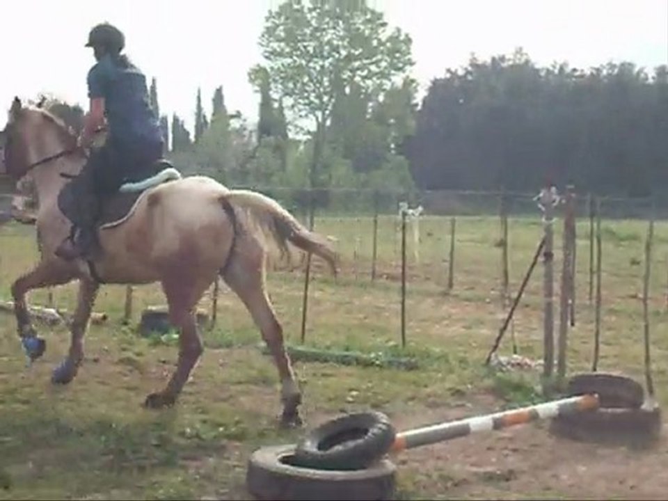 séance d'obstacle