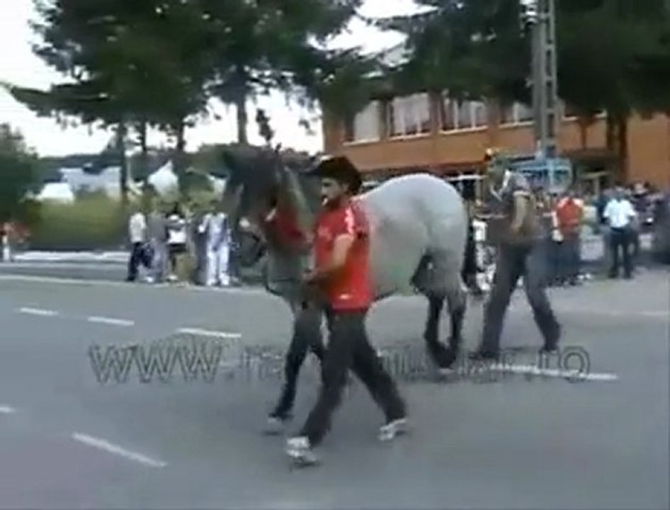 Herkesin poposu ellenmez