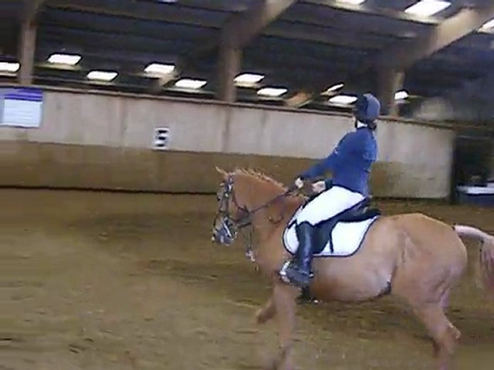 dressage 2010 Mathilde et Néo