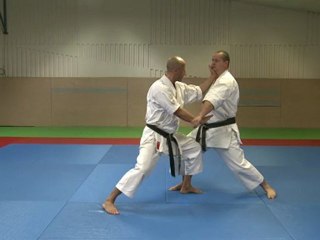 karate shotokan