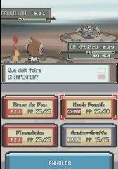 Pokemon Platine DS 05