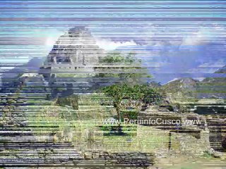 Travel Machu Picchu - Machupicchu 38