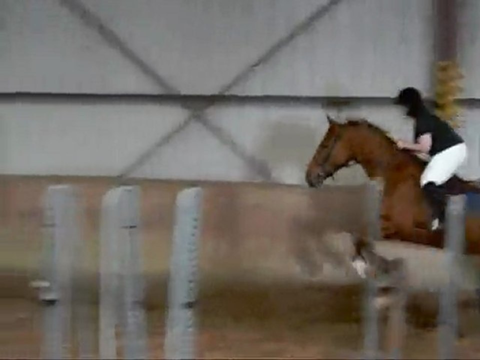 Stage SHUC 16 Avril 2010 , Saut + Cercles Galop