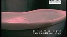 Yang cheng ling_ai mei