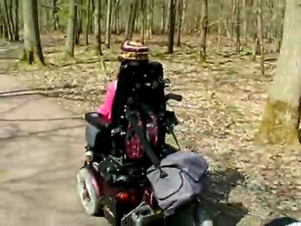 Balade en forêt
