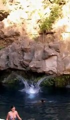 plongeon foireux 6M