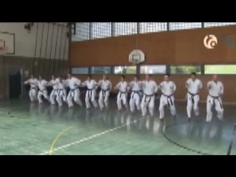 Karaté Wado ryu Reportage