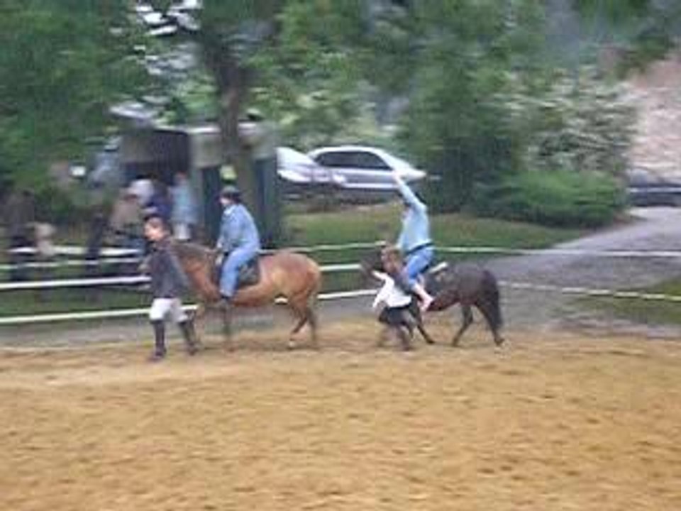 video cheval