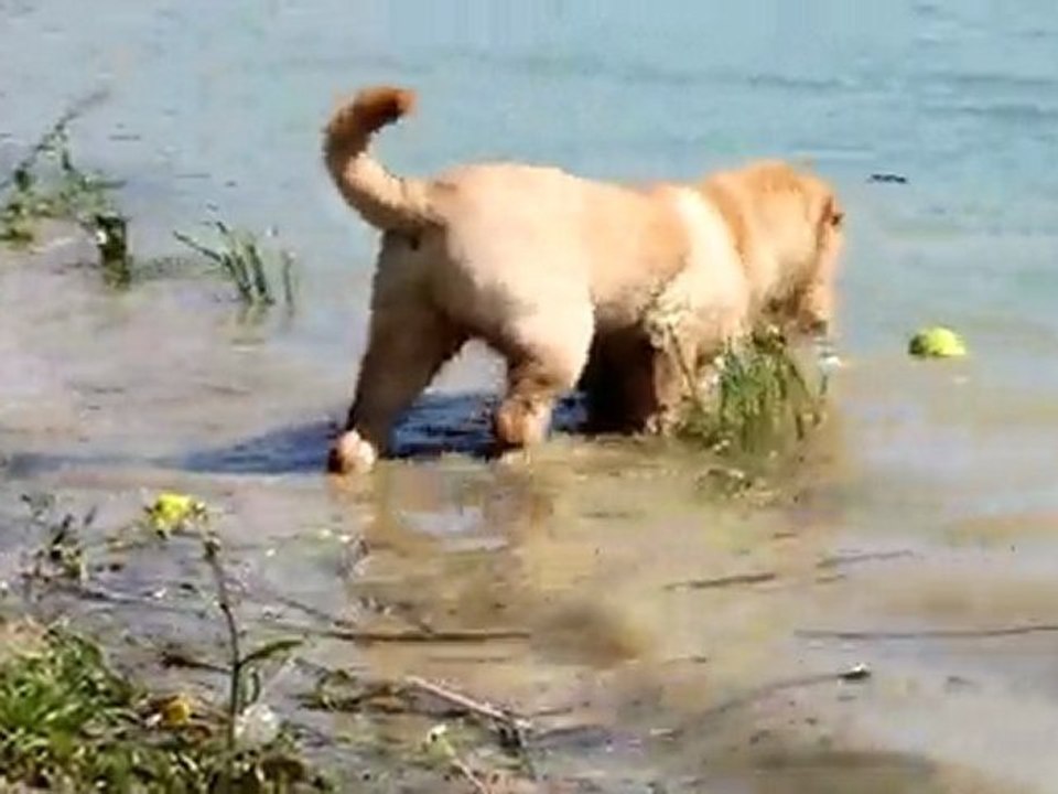 Ernest dans l'eau