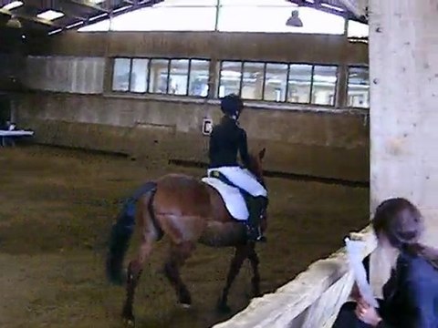 dressage Maud et Oasis