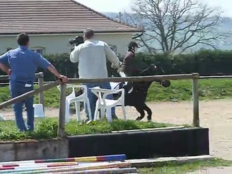 Mégane et Oscar