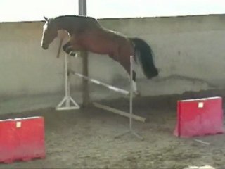 Gunfire saut liberté 18 avril