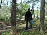 Disc golf at Shaver Park