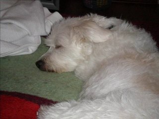 Ressam ve resim... Şinasi Kuru'nun objektifinden gördükleri.