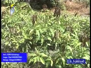 JT SOIR FRANÇAIS DU 18/04/2010 TCHADONLINE.TV