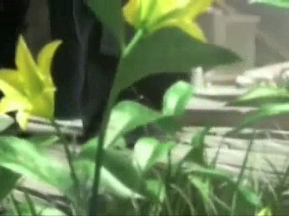 Right Here Waiting_FF AC_AMV