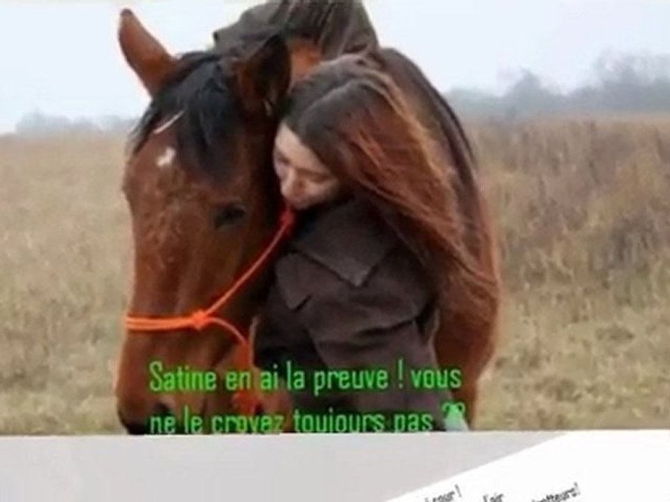 Les trotteurs francais