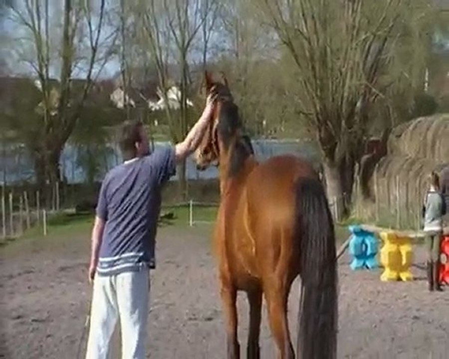 Tamise du dojo - Avril 2010 - 1er saut en liberté 2010