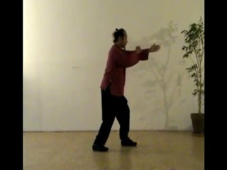 Tai Chi style wu par Man Yan Hor