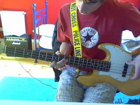 Red Hot Chili Peppers - Dani California Bass Cover