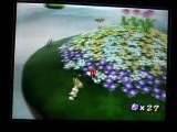 Super mario galaxy (17) : Un beau jardin