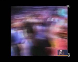 animaux tueurs (3 et fin)