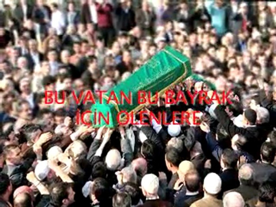 VATAN HAINI DR.ALI