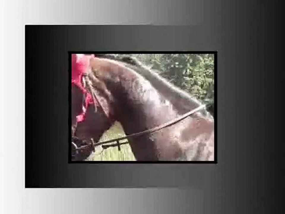 Samuelle Ducrocq Henry et Morgan - promenade à Mascouche