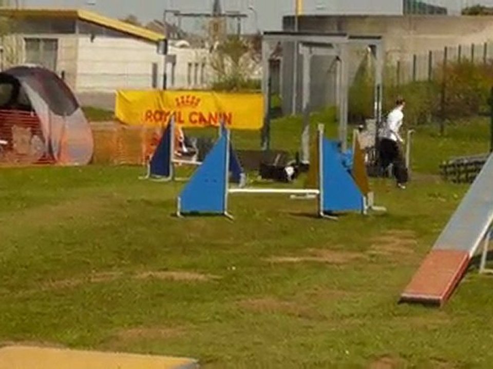 Vixie Agility Thionville 2degrè 18/04/2010