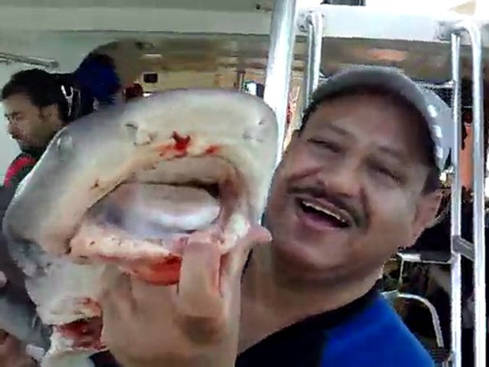 MAHMOUD & SHARK