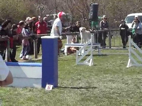 golden blond gpf rodez